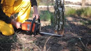 Best Tree Health Inspection  in Porterdale, GA