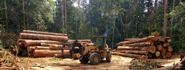 Best Grass Overseeding  in Porterdale, GA